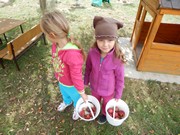 Sklízíme úrodu na zahrádce